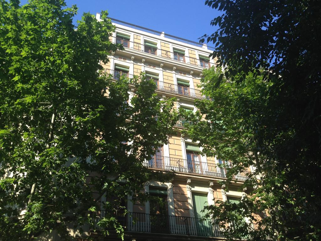 Three-Bedroom Apartment,257300165:JPEG